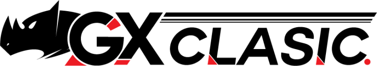 GX Logo black